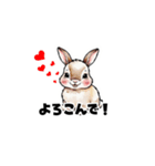 【敬語で挨拶】うさぎの使いやすいスタンプ（個別スタンプ：16）