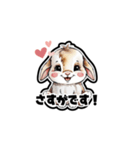 【敬語で挨拶】うさぎの使いやすいスタンプ（個別スタンプ：18）