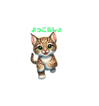 ボブキャットの挨拶（個別スタンプ：3）