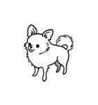 DOG_DOG_DOG 40（個別スタンプ：13）