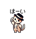 ドット絵！紳士ネコ（個別スタンプ：9）