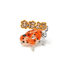 kiirobanagoldfish（動く金魚）（個別スタンプ：8）