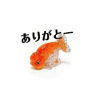 kiirobanagoldfish（動く金魚）（個別スタンプ：16）