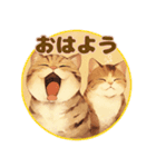 ねこのしやわせ（個別スタンプ：8）