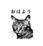 水墨画風 猫スタンプ（AI生成）（個別スタンプ：1）