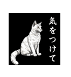 水墨画風 猫スタンプ（AI生成）（個別スタンプ：5）