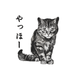 水墨画風 猫スタンプ（AI生成）（個別スタンプ：7）