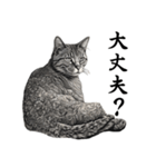 水墨画風 猫スタンプ（AI生成）（個別スタンプ：11）