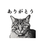 水墨画風 猫スタンプ（AI生成）（個別スタンプ：12）