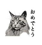 水墨画風 猫スタンプ（AI生成）（個別スタンプ：14）