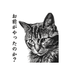 水墨画風 猫スタンプ（AI生成）（個別スタンプ：40）