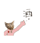 お酒とネコ好きな日常会話 28（個別スタンプ：17）