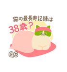 猫の豆知識クイズ第2弾！アニドネスタンプ（個別スタンプ：5）