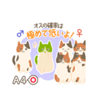 猫の豆知識クイズ第2弾！アニドネスタンプ（個別スタンプ：8）