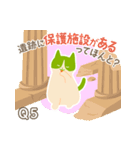 猫の豆知識クイズ第2弾！アニドネスタンプ（個別スタンプ：9）