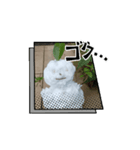 雪だるま様のスタンプ（個別スタンプ：9）