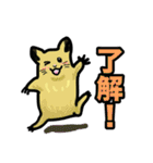 毎日使えるキンクマハムスターのスタンプ（個別スタンプ：7）
