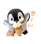 もふもふペンギン2（個別スタンプ：4）