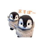 もふもふペンギン2（個別スタンプ：5）