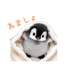 もふもふペンギン2（個別スタンプ：15）