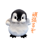 もふもふペンギン2（個別スタンプ：16）