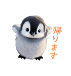 もふもふペンギン2（個別スタンプ：18）