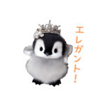 もふもふペンギン2（個別スタンプ：19）