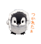 もふもふペンギン2（個別スタンプ：20）