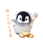 もふもふペンギン2（個別スタンプ：24）