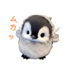 もふもふペンギン2（個別スタンプ：27）