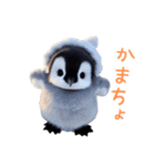 もふもふペンギン2（個別スタンプ：30）