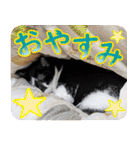 いたずらクーとおっとりミミ2（個別スタンプ：2）