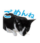 いたずらクーとおっとりミミ2（個別スタンプ：14）