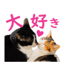 いたずらクーとおっとりミミ2（個別スタンプ：17）