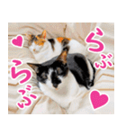 いたずらクーとおっとりミミ2（個別スタンプ：18）
