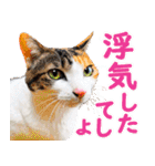 いたずらクーとおっとりミミ2（個別スタンプ：19）