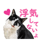 いたずらクーとおっとりミミ2（個別スタンプ：20）