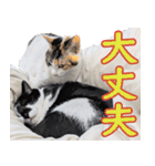 いたずらクーとおっとりミミ2（個別スタンプ：23）