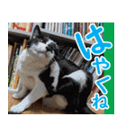 いたずらクーとおっとりミミ2（個別スタンプ：27）