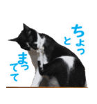 いたずらクーとおっとりミミ2（個別スタンプ：28）