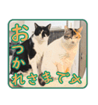 いたずらクーとおっとりミミ2（個別スタンプ：30）