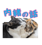 いたずらクーとおっとりミミ2（個別スタンプ：31）