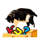 いたずらクーとおっとりミミ2（個別スタンプ：38）
