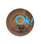 ちーむどうぶつ（個別スタンプ：7）