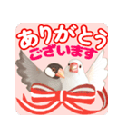 【文鳥】動く！桜でお祝いPop-Up（個別スタンプ：14）