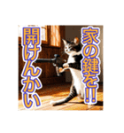 銃を向けて、要求をする猫ちゃん（個別スタンプ：8）