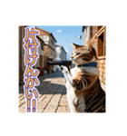 銃を向けて、要求をする猫ちゃん（個別スタンプ：13）