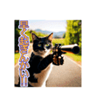 銃を向けて、要求をする猫ちゃん（個別スタンプ：18）