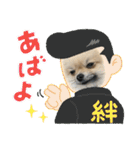 ポメラニアンのちもスタンプ（個別スタンプ：14）