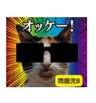 ⚫猫ミームで会話⭐40匹セット！！ 煽り/煽る（個別スタンプ：9）